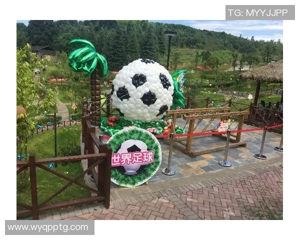 魔法师足球明星卡片的奇幻世界与收藏价值探秘